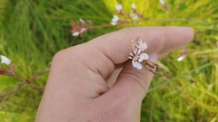 Oenothera gaura