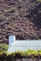 Aloe microstigma microstigma