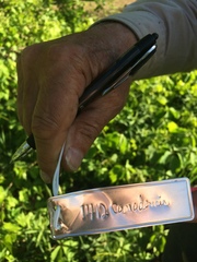 Crataegus canadensis