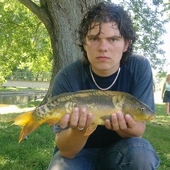 Cyprinus carpio carpio