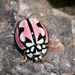 Lipstick Lady Beetle - Photo (c) Tony Rebelo, some rights reserved (CC BY-SA), uploaded by Tony Rebelo