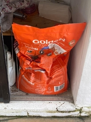 Phoneutria keyserlingi