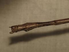 Acrophylla wuelfingi