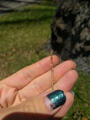 Eremochloa ophiuroides