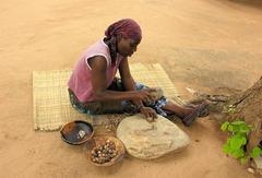 Sclerocarya birrea caffra