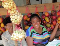 Sclerocarya birrea caffra