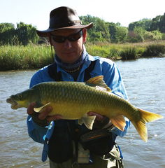 Vaal-Orange Smallmouth Yellowfish photo 5