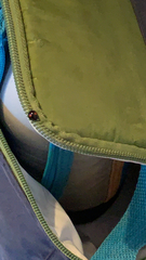 Chilocorus renipustulatus