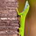 East Dominican Green Anole - Photo (c) chorthippus, some rights reserved (CC BY-NC), uploaded by chorthippus