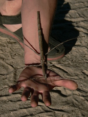 Bactrododema reyi