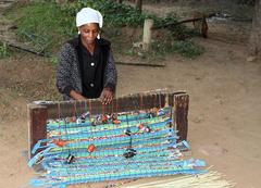 Cyperus sexangularis