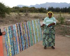 Cyperus sexangularis