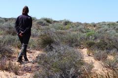 Thamnochortus bachmannii