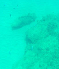 Mulloidichthys vanicolensis