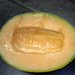 Cucumis melo melo - Photo (c) justindutoit, algunos derechos reservados (CC BY-NC)