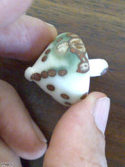 Raphia australis