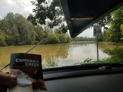 Palaemon kadiakensis