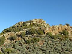 Aloe microstigma microstigma