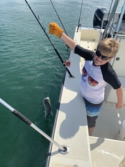 Carcharhinus acronotus