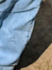 Miltochrista miniata