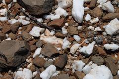 Trichodiadema marlothii