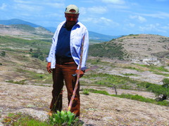 Agave nuusaviorum