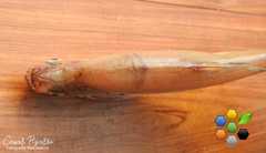 Roeboides microlepis