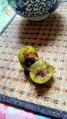 Grapholita funebrana