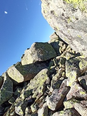 Aculepeira carbonarioides