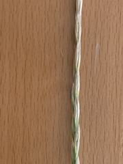 Elymus smithii