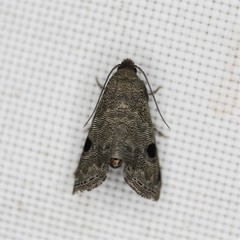 Abablemma brimleyana