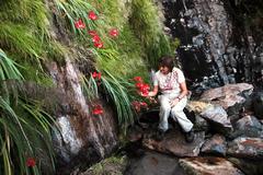 Gladiolus cardinalis