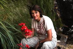 Gladiolus cardinalis