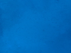 Pardachirus pavoninus