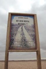 Teloschistes capensis