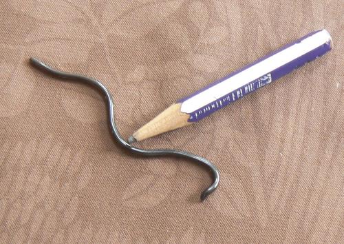 Leptotyphlops nigricans