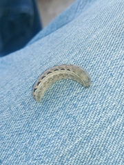 Pterygota
