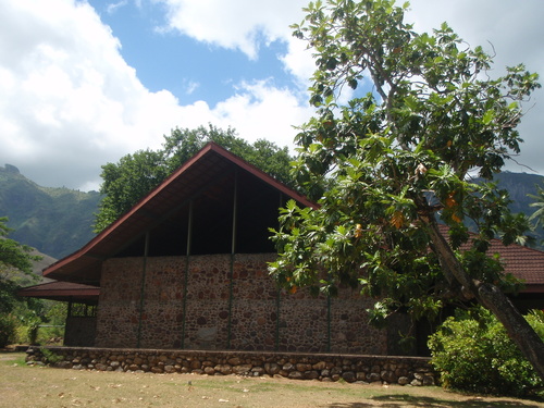 Artocarpus altilis observed 2013-02-15