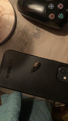 Chalcophora virginiensis