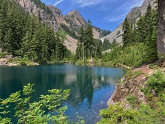 Sorbus sitchensis grayi