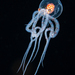 Octopuses, Squids, and Cuttlefishes - Photo (c) Julian Hsu, some rights reserved (CC BY-NC), uploaded by Julian Hsu