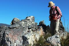 Sonderothamnus petraeus