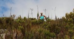 Osteospermum polygaloides polygaloides