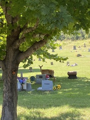 Odocoileus virginianus