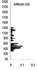 Leucospermum winteri