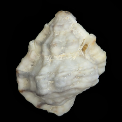 Bursa rosa