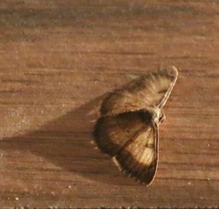 Hydatocapnia