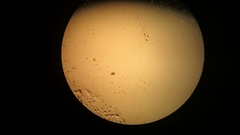 Lecane quadridentata