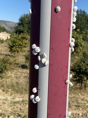 Xeropicta derbentina