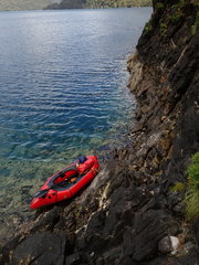 Isolepis praetextata